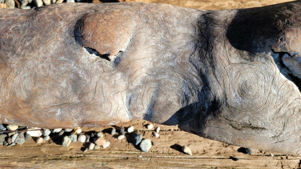 Wood log looks like troll face